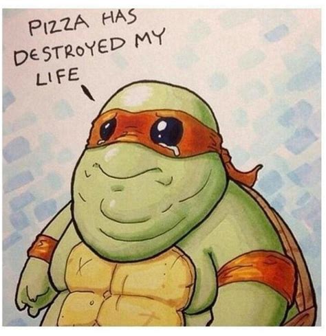 funny ninja turtle memes|More.